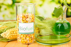 Lidsing biofuel availability