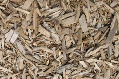 biomass boilers Lidsing