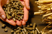 free Lidsing biomass boiler quotes