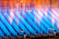 Lidsing gas fired boilers